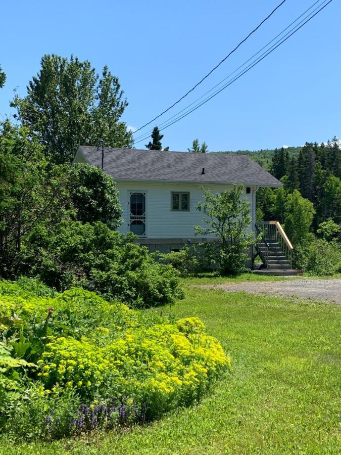 Chalets Les Chanterelles De Forillon L'Anse-au-Griffon المظهر الخارجي الصورة