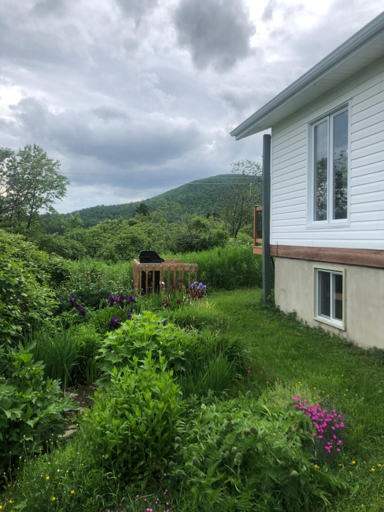 Chalets Les Chanterelles De Forillon L'Anse-au-Griffon المظهر الخارجي الصورة